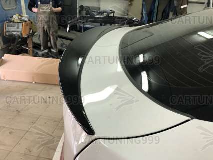 ������� M �� BMW X 6  E 71 ������