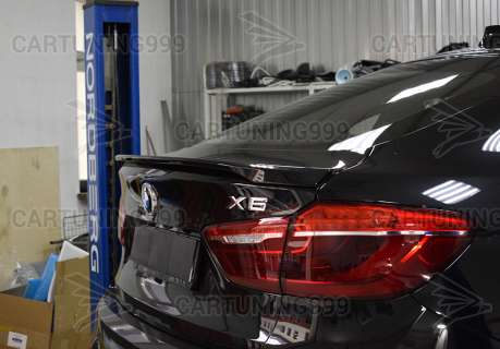 ������� M Performance ��� BMW X6 F16 ������