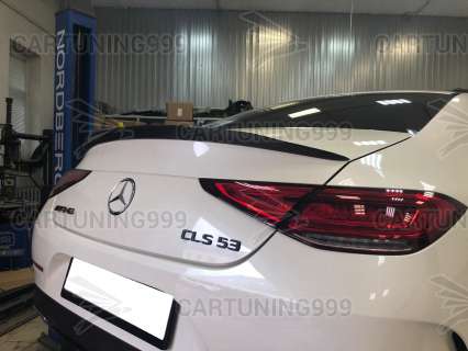 ������� 53 AMG Mercedes CLS C257 ������