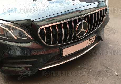 ������� ��������� Panamericana Mercedes E-klasse C238 Coupe ����
