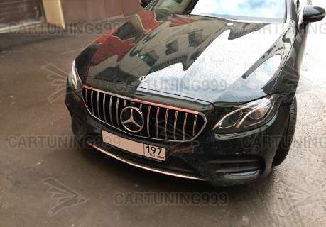 ������� ��������� Panamericana Mercedes E-klasse C238 Coupe ����