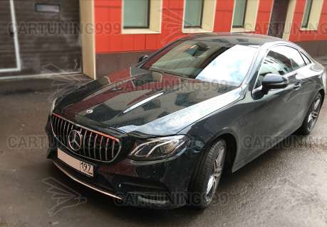 ������� ��������� Panamericana Mercedes E-klasse C238 Coupe ����
